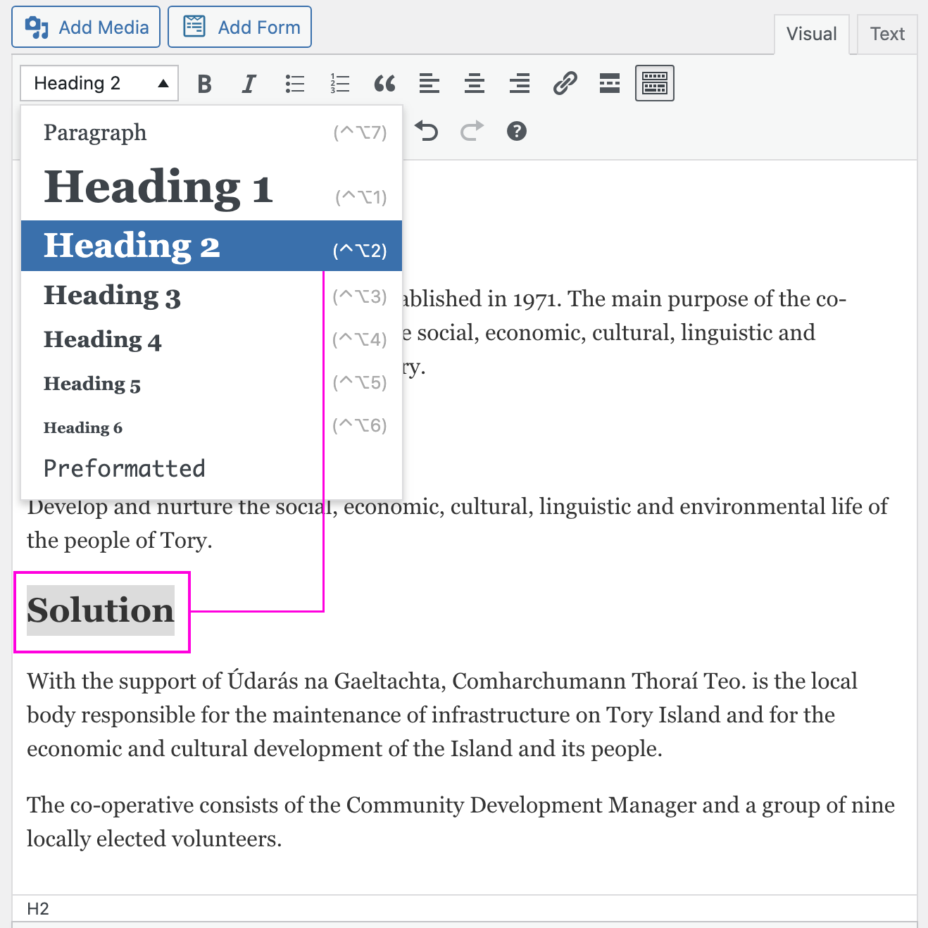 WordPress WYSIWYG Text editor with a heading selected. It is in the process of being tagged as a H2.