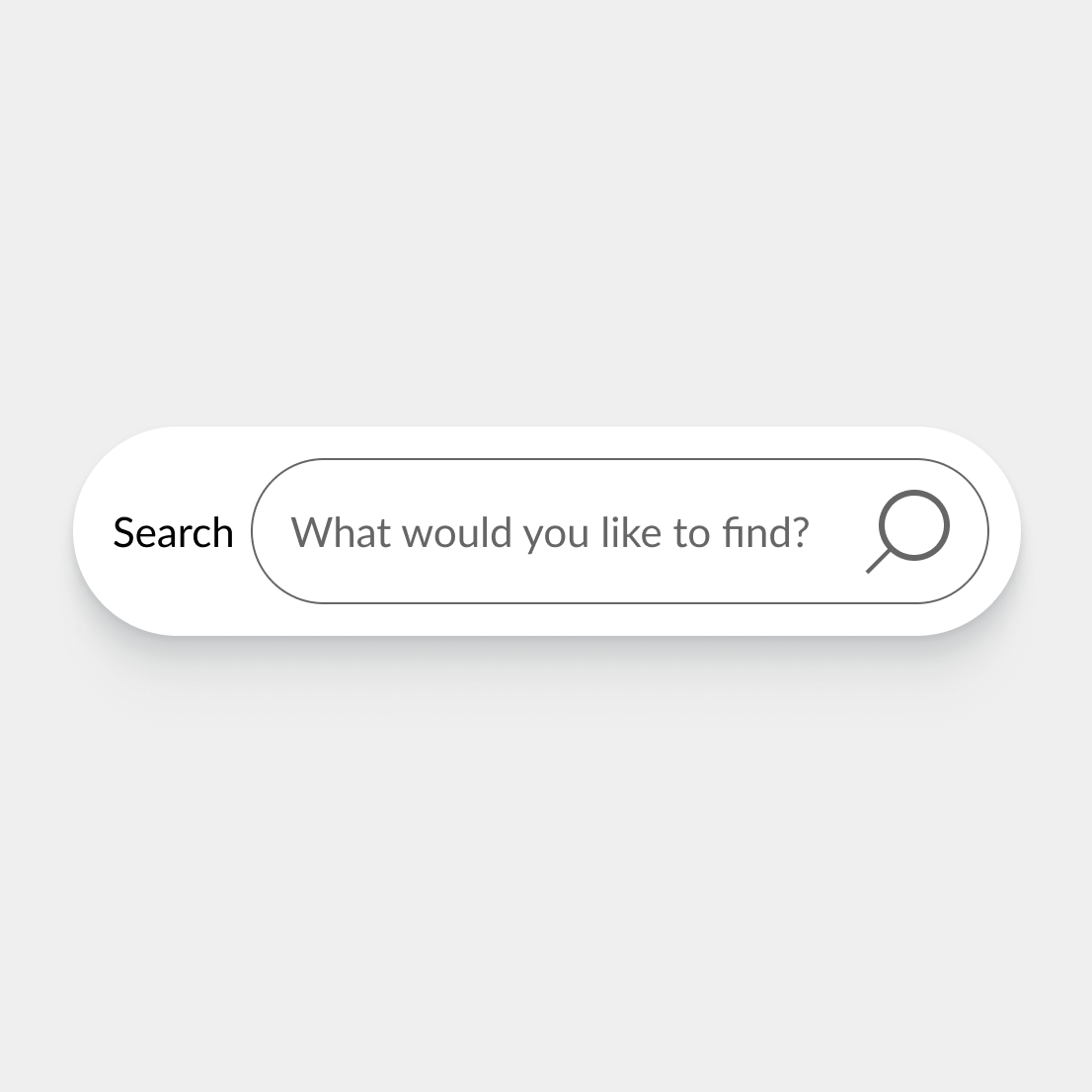 A search bar with form labels and placeholder text.